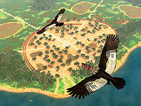 一对,安第斯秃鹰,飞行,上方,亚马逊地区,乡村