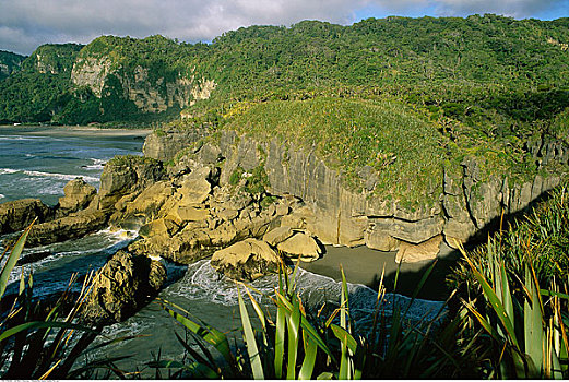 南岛,新西兰