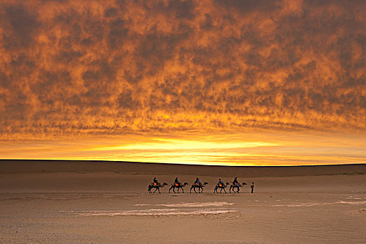 晚霞下的沙漠骆驼骑行者