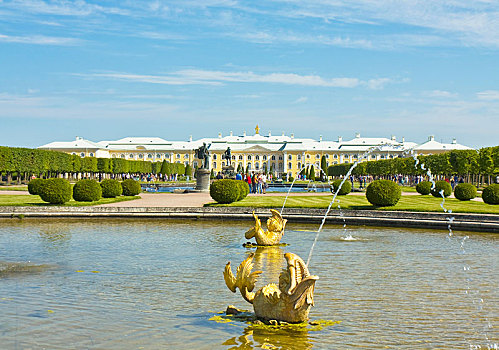喷泉,金色,鱼,彼得夏宫,宫殿,彼得斯堡,俄罗斯,欧洲