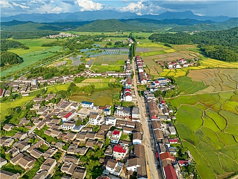 江西金溪,夏日乡村美