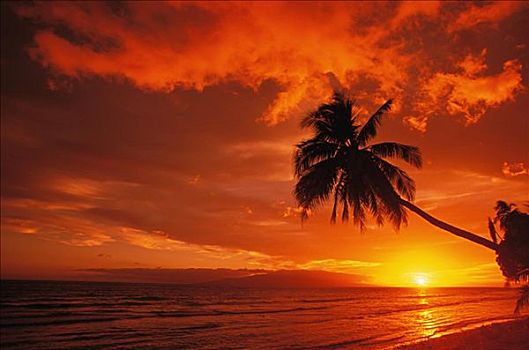 夏威夷,毛伊岛,漂亮,日落,欧咯瓦鲁