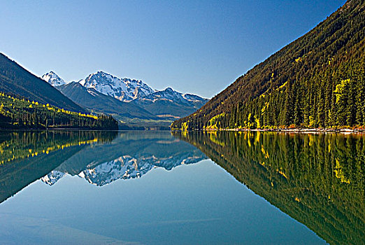 湖,反射,省立公园,不列颠哥伦比亚省,加拿大