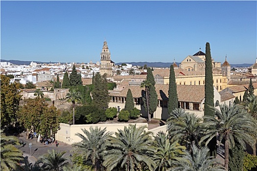 风景,上方,老城,科多巴,安达卢西亚,西班牙
