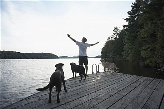 男人,码头,狗,安大略省,加拿大