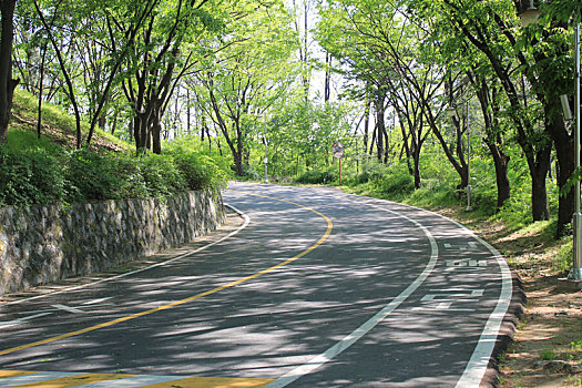 道路