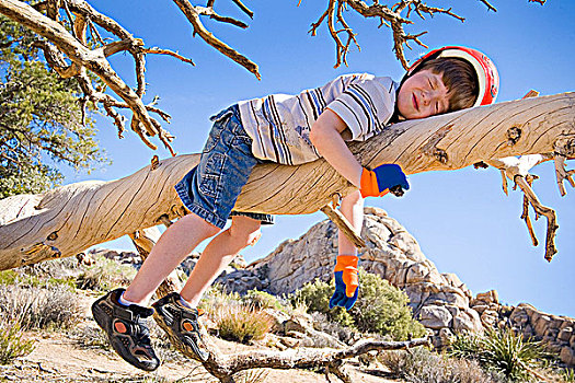 男孩,睡觉,枝条,约书亚树国家公园,加利福尼亚,美国