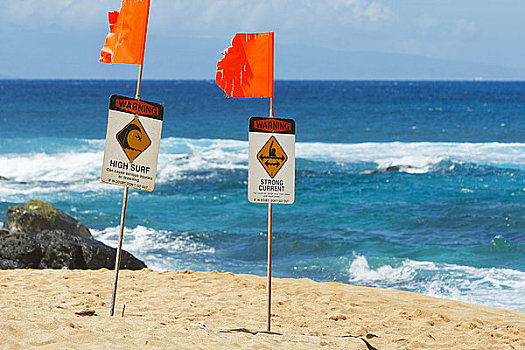 夏威夷,毛伊岛,高,海浪,警告标识,海滩