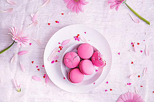粉色,蛋白杏仁甜饼,雏菊