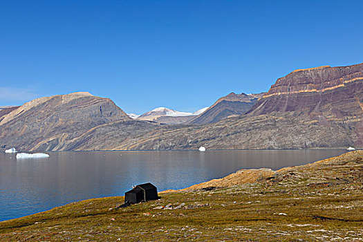 北极,风景,峡湾,格陵兰