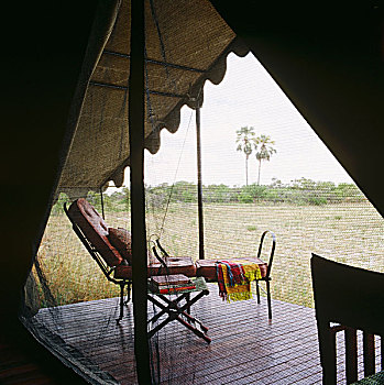 景色,向外看,蚊子,网,嘴,帐蓬,躺椅,木质