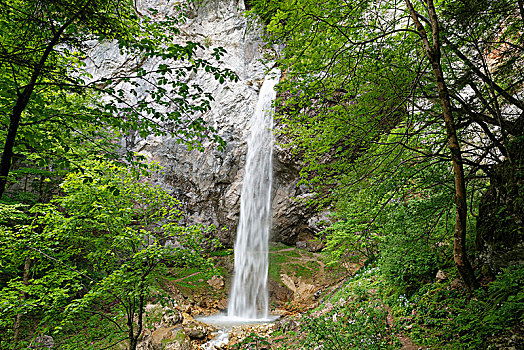 瀑布,靠近,卡林西亚,奥地利,欧洲