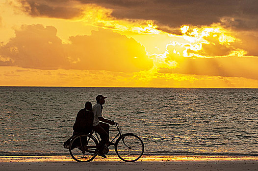 男人,女人,骑,自行车,日落,海洋,海岸,桑给巴尔岛,坦桑尼亚