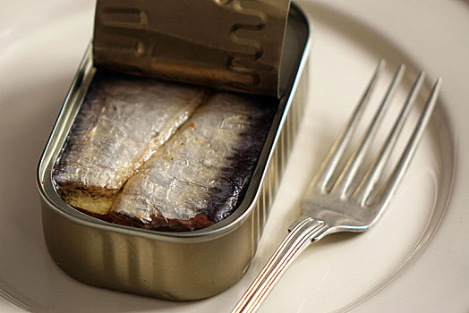 沙丁鱼,罐头,白色背景,盘子,叉子,德国,欧洲