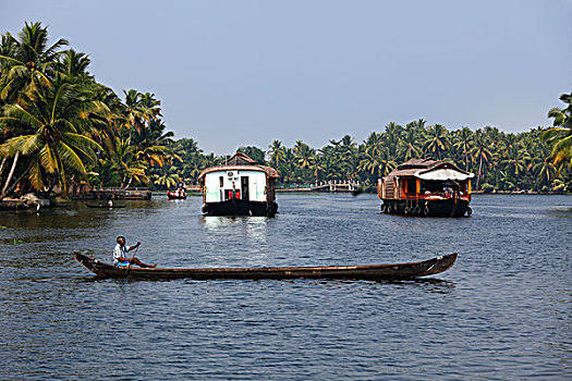 男人,船屋,死水,靠近,喀拉拉,印度,南亚,亚洲