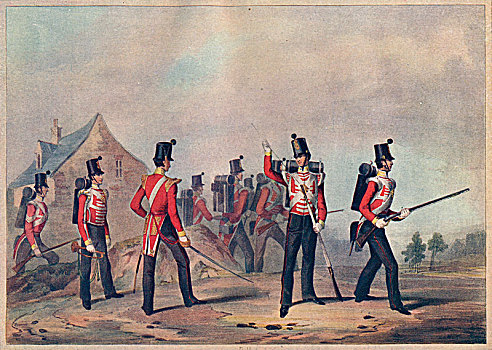 亮光,步兵,展示,19世纪,艺术家