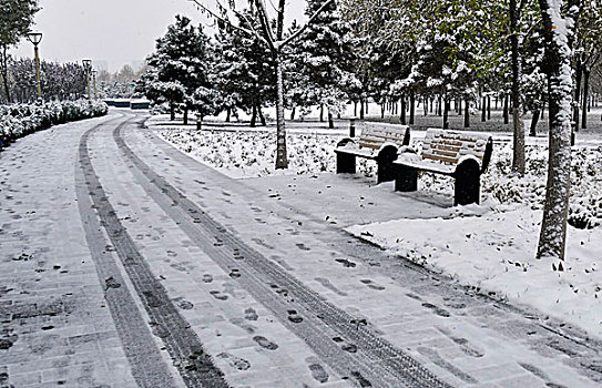 雪后小景