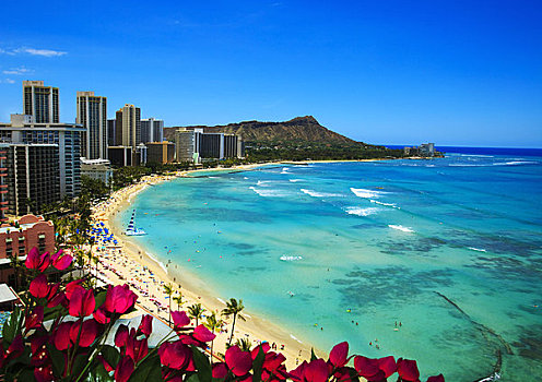 夏威夷,瓦胡岛,怀基基海滩,酒店,钻石海岬,花,前景