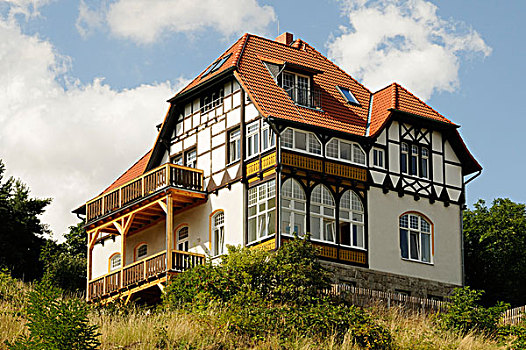 半木结构,别墅,韦尼格罗德,萨克森安哈尔特,德国,欧洲