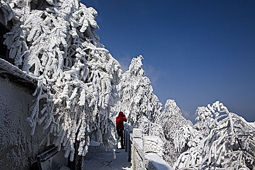 衡山冬景