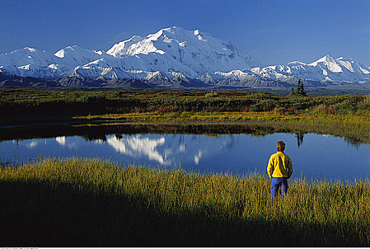 后视图,男人,靠近,湖,麦金利山,阿拉斯加,美国