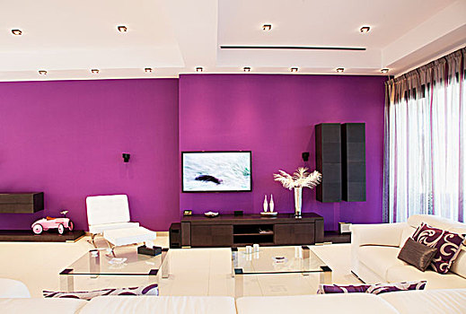 紫色,墙壁,奢华,客厅