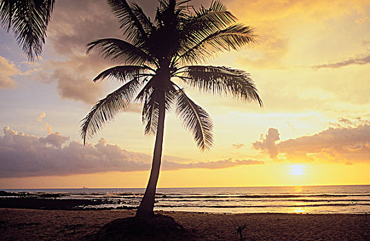 日落,棕榈海滩,放松,湾,岛屿,甲米,泰国,东南亚