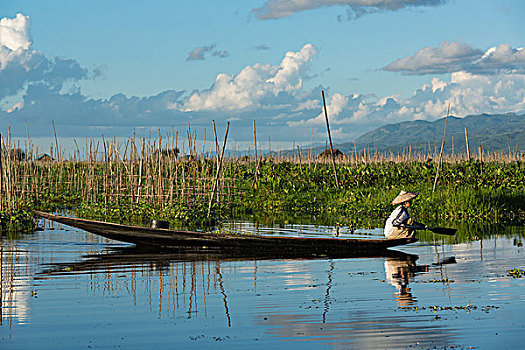 缅甸,茵莱湖,女人,划船,独木舟,过去,西红柿