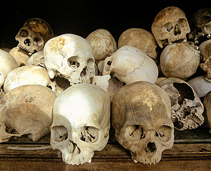 屠杀场,塔,受害者,容器,头骨,金边,省,柬埔寨,亚洲