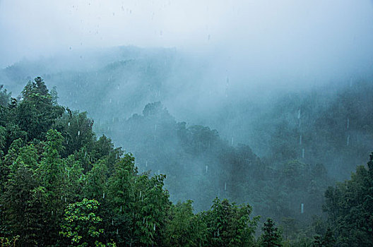 雨雾山景