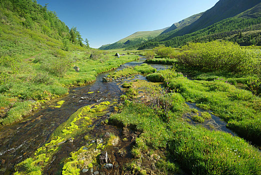 山,河,水流,峡谷,石头,岩石,陆地,靠近,漂亮,山景