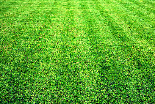 草地保龄球场,草,背景