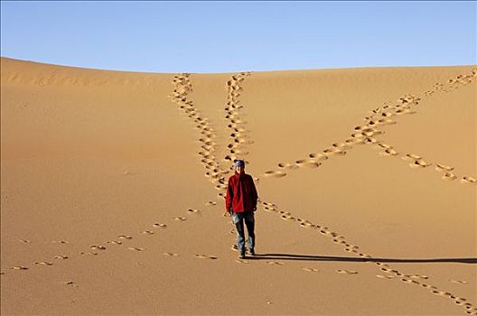走,沙丘,撒哈拉沙漠,利比亚
