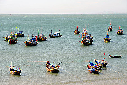 捕鱼,船,港口,南,海洋,越南,东南亚