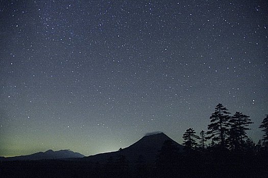 星空,树林,山