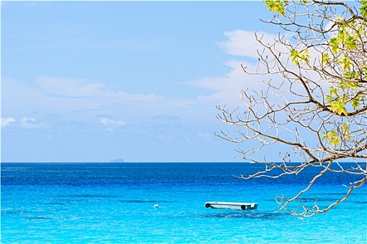 漂亮,蓝色海洋,苏梅岛,西米兰,泰国