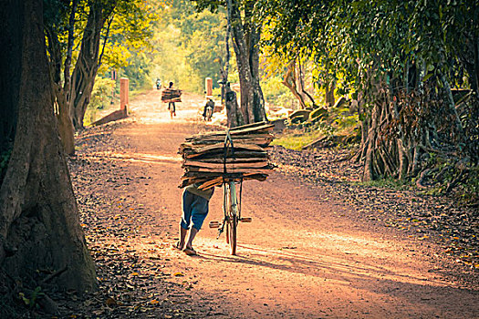 骑自行车,土路,丛林,柬埔寨