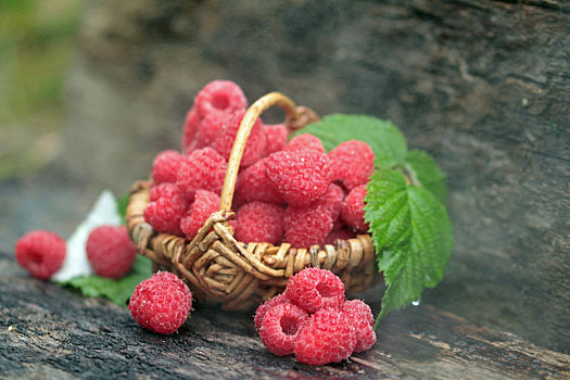 树莓,篮子