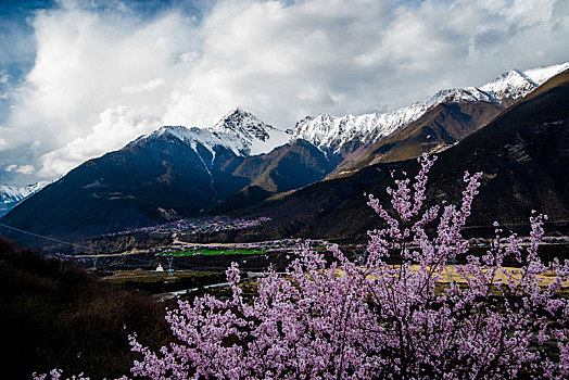 中国西藏自治区林芝桃花沟风景区