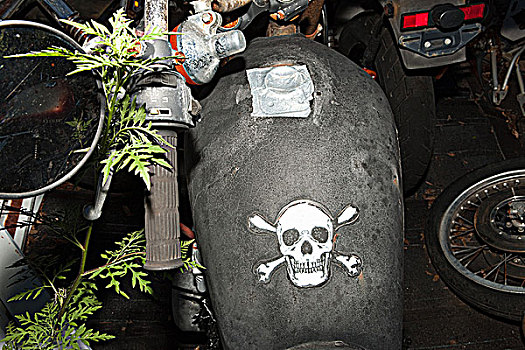 骷髅图案,摩托车,油箱