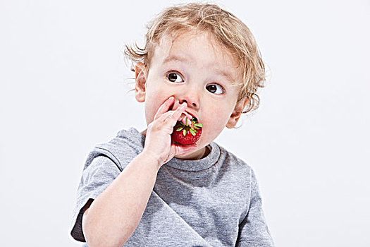 男孩,吃,草莓