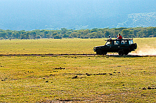 游客,旅游,吉普车,国家公园,坦桑尼亚