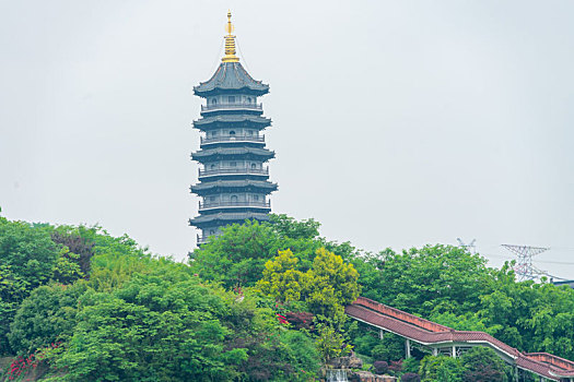 重庆园博园景区旅游风光照片