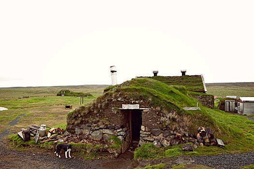房子,冰岛,风景