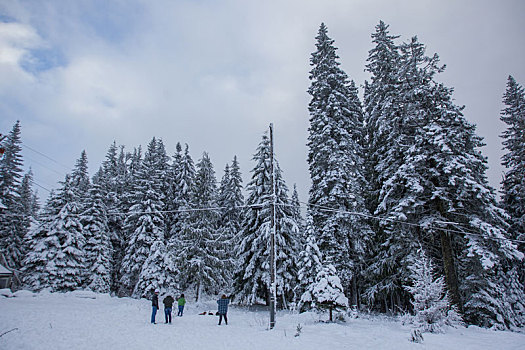 美国俄勒冈雪后山村