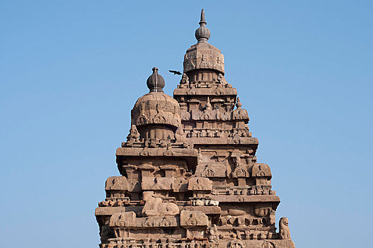 岸边,庙宇,马哈巴利普兰,马哈拉里普林,泰米尔纳德邦,印度,亚洲