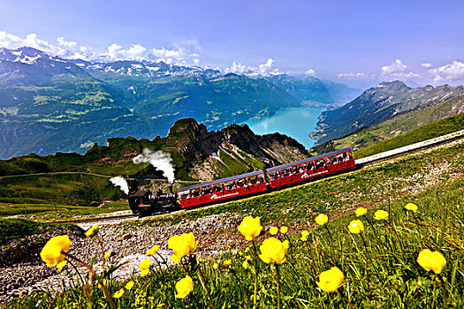 风景,铁路,湖,布里恩茨,伯尔尼阿尔卑斯山,山,伯恩,瑞士,欧洲