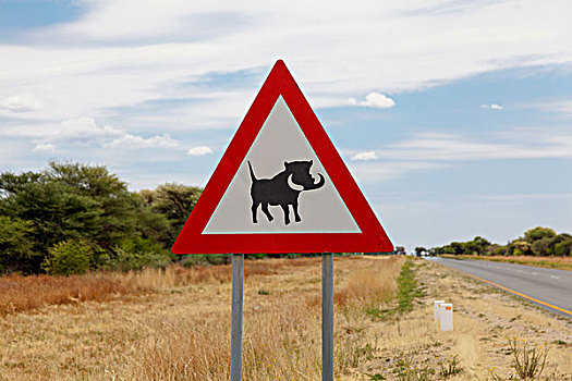 警告标识,小心,疣猪,纳米比亚,非洲