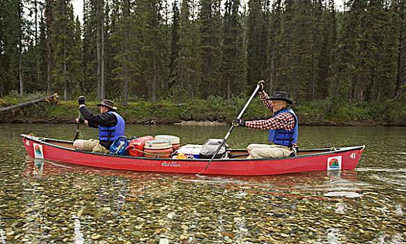 两个,男人,独木舟,涉水,清晰,浅,水,河,育空地区,加拿大