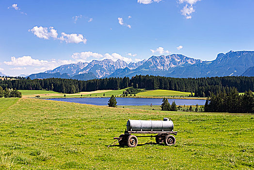 水箱,草地,阿尔卑斯山,斯瓦比亚,巴伐利亚,德国,欧洲